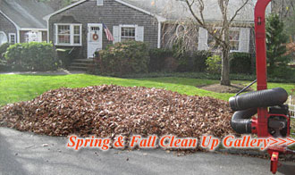 Spring & Fall Clean Up